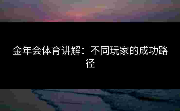 金年会体育讲解：不同玩家的成功路径